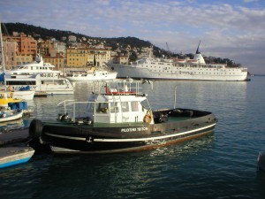 Grosse und kleine Yachten liegen im Hafen von Nizza